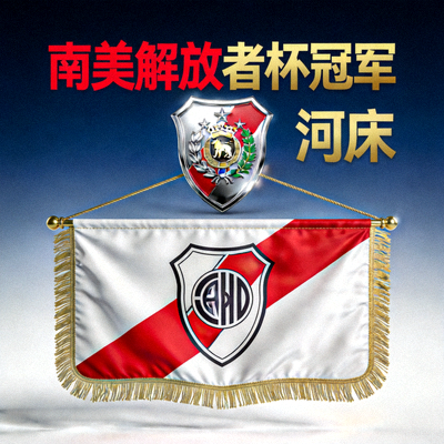 南美解放者杯冠军球队徽章与队旗展示